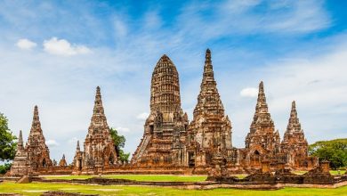 Photo of Мастер-класс по приготовлению шашлыка